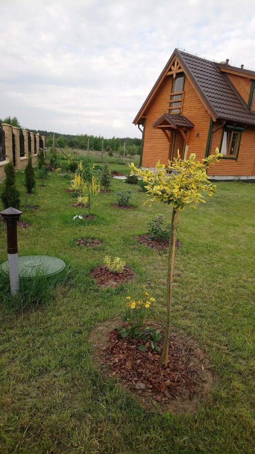 Lavender Cottage هاجوكوفه المظهر الخارجي الصورة